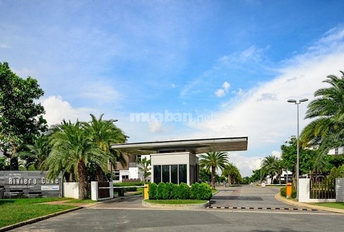 🍀GIỎ HÀNG 5/2025  BÁN BIỆT THỰ RIVIERA COVE TỪ 44-70 TỶ VIEW SÔNG