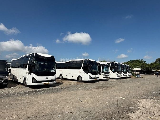 Do nhu cầu mua xe mới Cty cần tuyển Lái xe dấu E