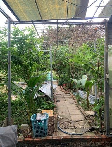 Cần bán gấp nhà cấp 4. DT 125m2 ở Tân Thông Hội - Củ Chi giá 795 triệu
