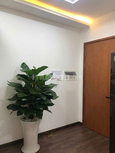 Chung cư Lotus Garden, Trịnh Đình Thảo, TP: 95m2, 3p ngủ, full nt 12tr
