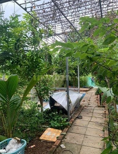 Cần bán gấp nhà cấp 4. DT 125m2 ở Tân Thông Hội - Củ Chi giá 795 triệu