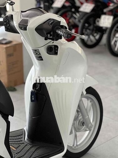 sh 150 2021