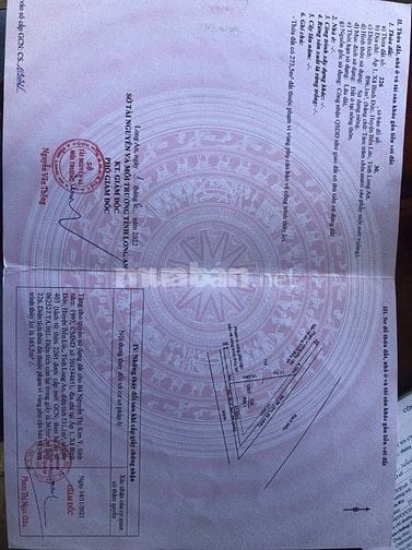 Cần bán miếng đất thổ cư 365m2 góc 2 mặt tiền kênh đường 3m.
