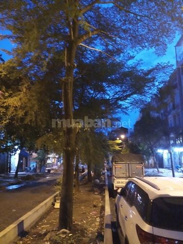 CẦN BÁN Nhà đường 783 tạ quang bửu KDC đồng diều F4Q8 dt: 4x18m, 3 lầu