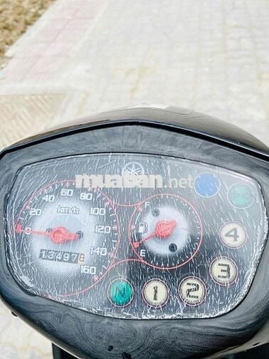 Yamaha Taurus Bstp