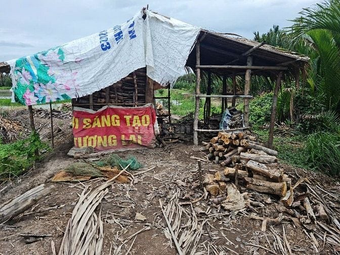 Bán đất vườn diện tích lớn tại Cần Đước