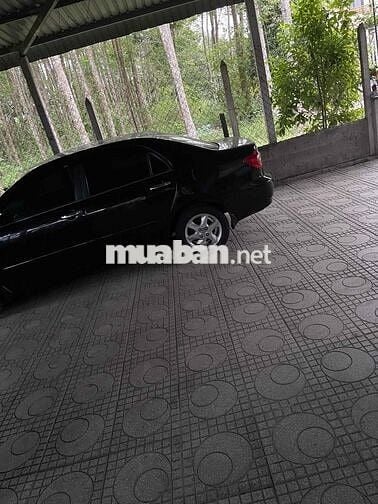 Muốn Bán Cái Xe Toyota Altis đời 2005