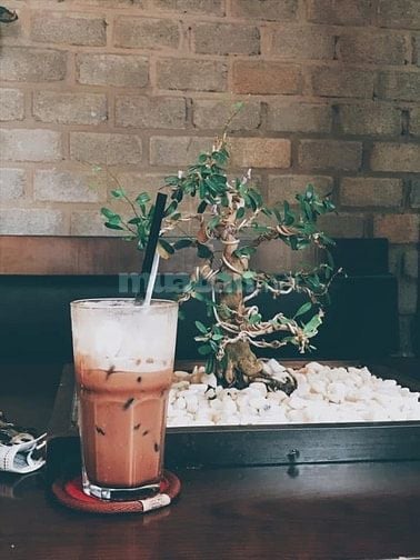 Cần 3 nhân viên bán hàng tại các quận Tphcm 