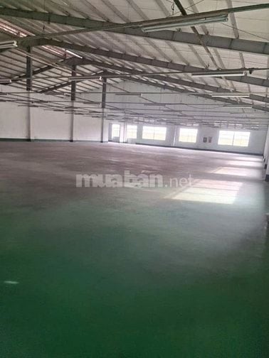 Cho thuê kho xưởng 2 tầng tại KCN Tân Tạo,Bình Tân , DT đất : 5.700m2