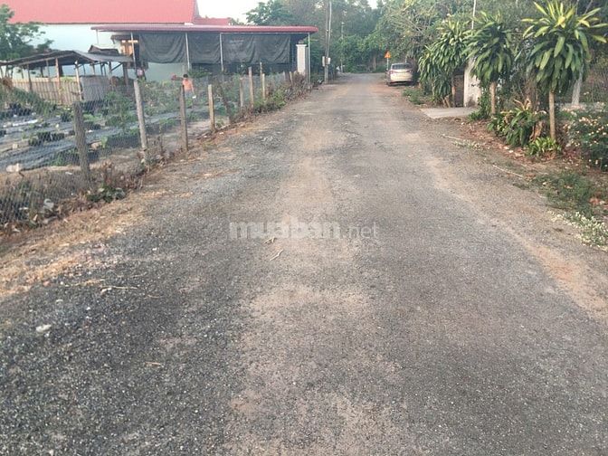 CHÍNH CHỦ BÁN 5x20 – 250TR – SỔ RIÊNG ĐSH – PHƯỚC BÌNH - ĐN 