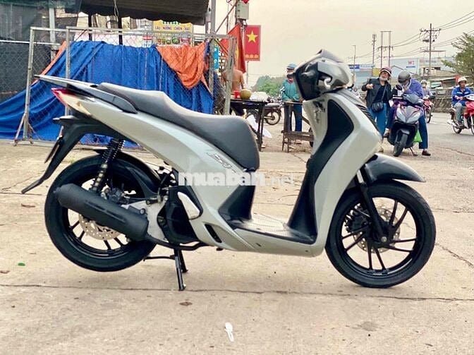 sh 150cc sám xi măng