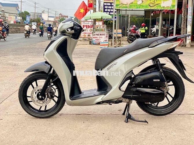 sh 150cc sám xi măng