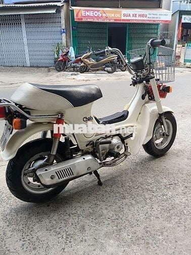 Chaly đèn vuông đời 84