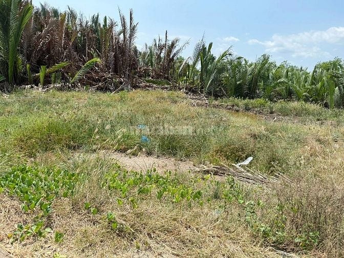 Cần bán 422m2 đất nông nghiệp,mặt tiền đường Gò Me, Nhà Bè giá 1tỷ100 