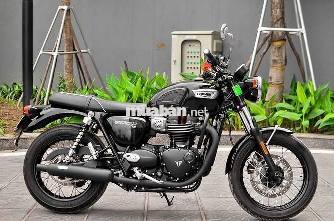 THANH MOTOR Cần bán Triumph T100 2024