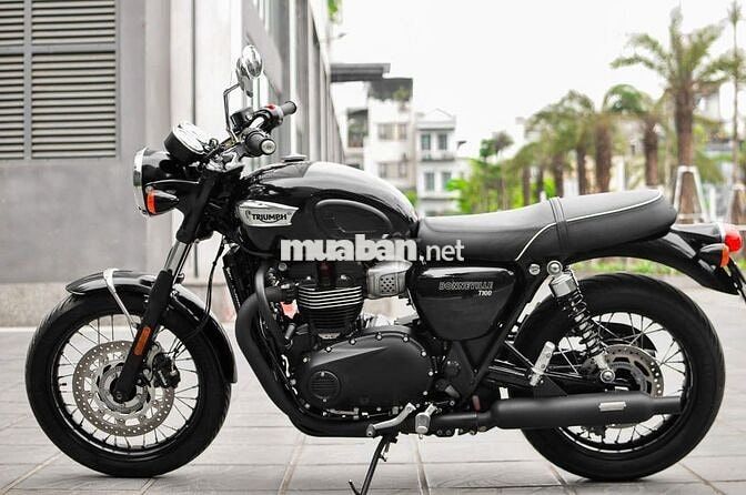 THANH MOTOR Cần bán Triumph T100 2024