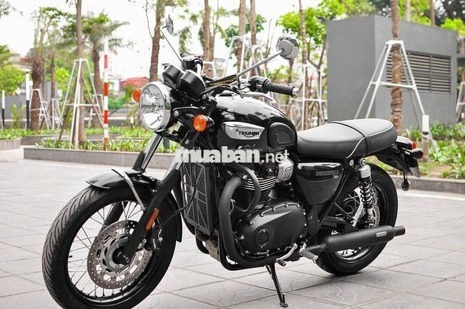 THANH MOTOR Cần bán Triumph T100 2024