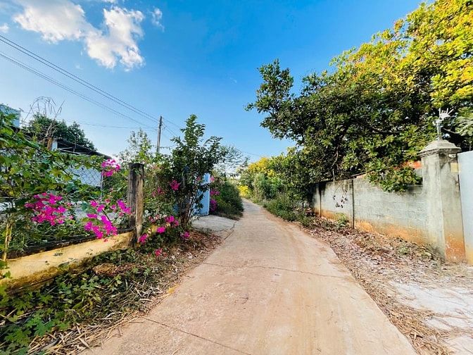bán gấp gần 1,5sào sẵn thổ cư thích hợp làm nhà vườn trồng cây ăn trai