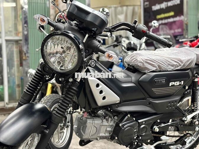 Yamaha PG 1 Xe Mới