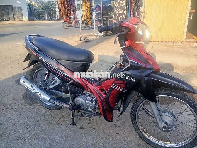 Surus giấy Sài Gòn