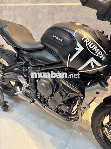cần bán triumph triden 660 date 2023