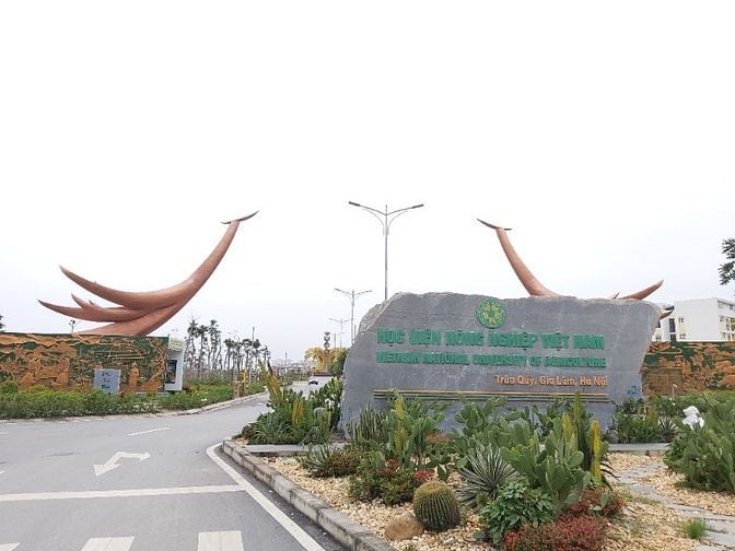 Bán nhà Trâu Quỳ - 30 m2 - Nhà mới tinh, sẵn về ở, ô tô đỗ 20m
