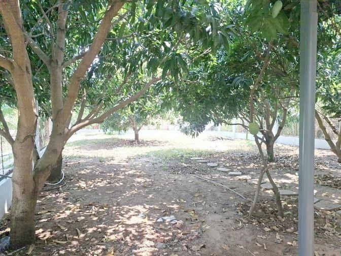 Làm nơi nghỉ dưỡng gần Thành Phố , DT 15x41m, Long Thới.