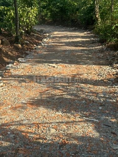 Chính chủ bán 1000m2 thôn 3 cư Êbur có cà phê 20x50  tiêu siêu đẹp 