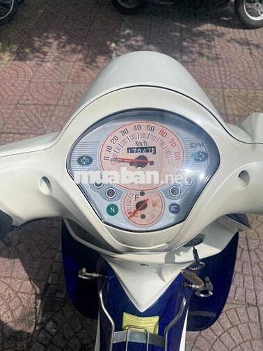 agela 50c đẹp vĩnh long