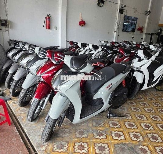 📣XE MÁY HOÀNG ÁNH THU MUA XE GIÁ CAO📣