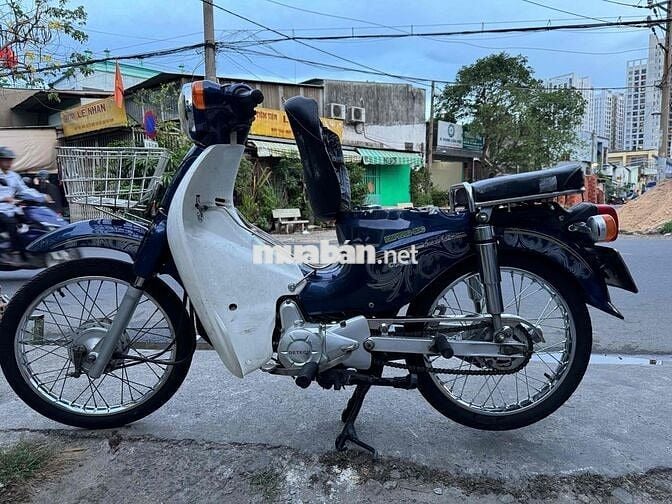 Cup 50cc