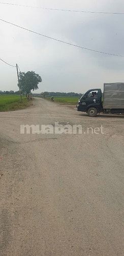 Đất Trồng Cây 375m², QH Đất Ở XD Mới, Trương Thị Như Hóc Môn