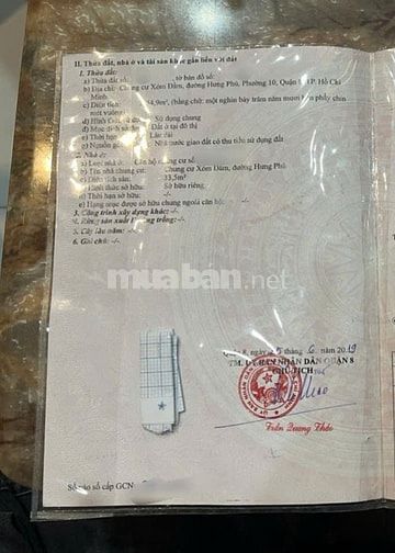 Chung cư Xóm Đầm P10 Q8, SHR , căn góc, gần cầu Chà Và, hỗ trợ NH