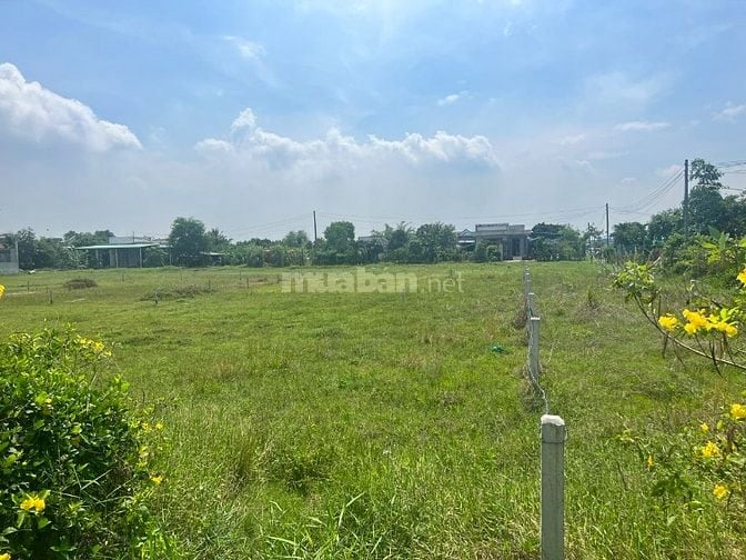Cần bán gấp đất nền  5m x35m Đức Hòa Long An