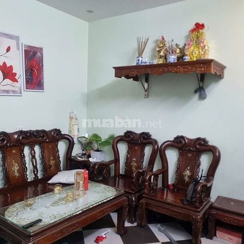 Bán nhà trong ngõ phố Kim Hoa quận Đống Đa ngõ đẹp. sổ đỏ giá tốt 