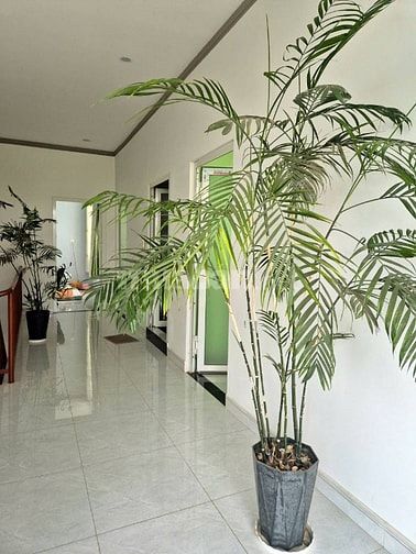 Bán gấp nhà đường Giồng Cát, Củ Chi 125m2 SHR 2PN . Giá bán 680tr 