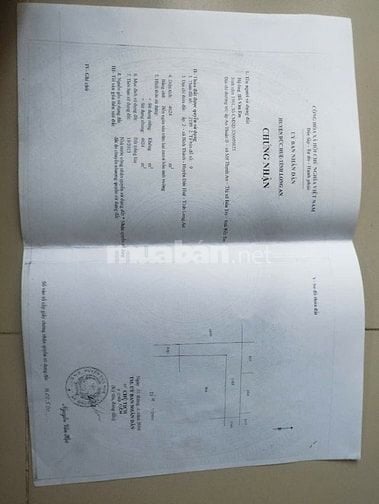 Đất thích hợp xây trang trại ở Long An Đức Huệ