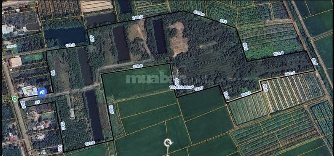 Đất thích hợp xây trang trại ở Long An Đức Huệ