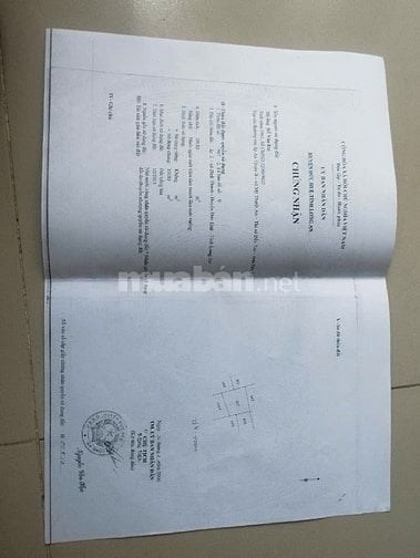 Đất thích hợp xây trang trại ở Long An Đức Huệ