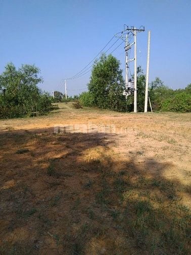 Đất thích hợp xây trang trại ở Long An Đức Huệ