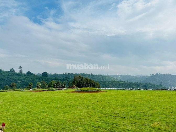 Bán đất thổ cư tại Lộc Phú giá tốt