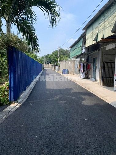 Chính chủ cần bán đất Nguyễn Thị Nhuần