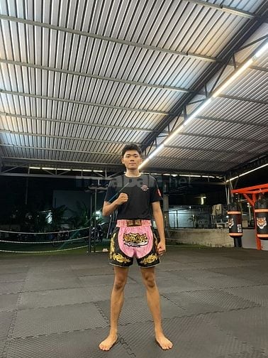 Chuyên viên điều phối, phân phối hàng hoá