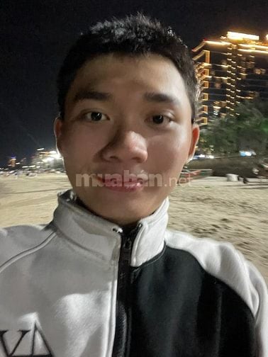 Chuyên viên điều phối, phân phối hàng hoá