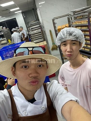 Chuyên viên điều phối, phân phối hàng hoá