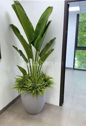 cần bán gấp nhà ở cấp 4,đầy đủ nội thất,thiết kế thông minh.
