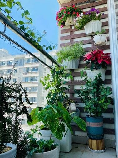 Bán căn góc Flora Fuji Quận 9 ngay gần trung tâm Global city 