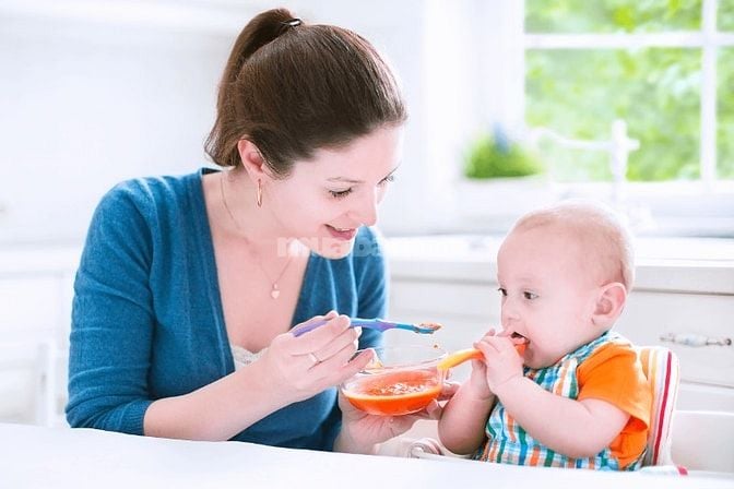 Mình Cần Tìm Người Giúp Việc Cho Gia Đình Nhà Mình Gấp