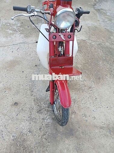 MD bao chất