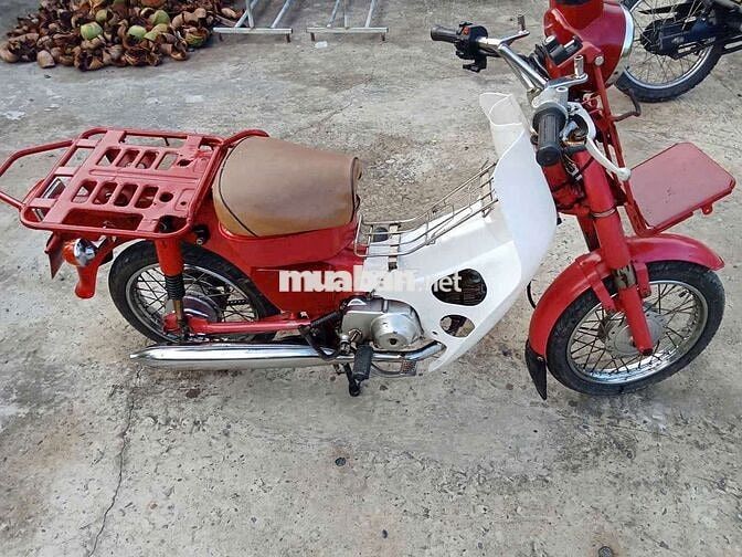 MD bao chất